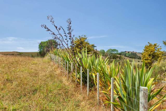 659 West Coast Road Makarau_4