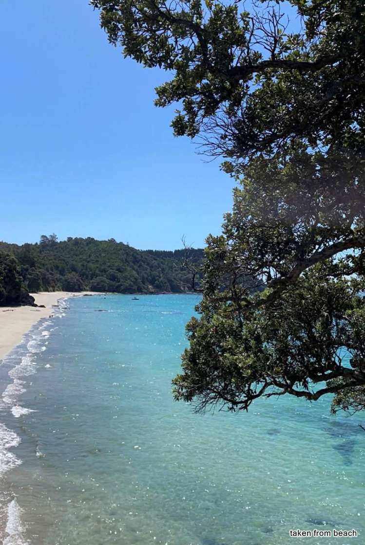 51 Howard Road Orere Point_19