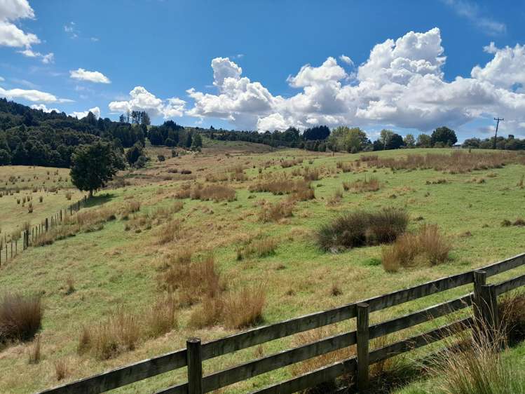 660 Waimate North Road Kerikeri_9