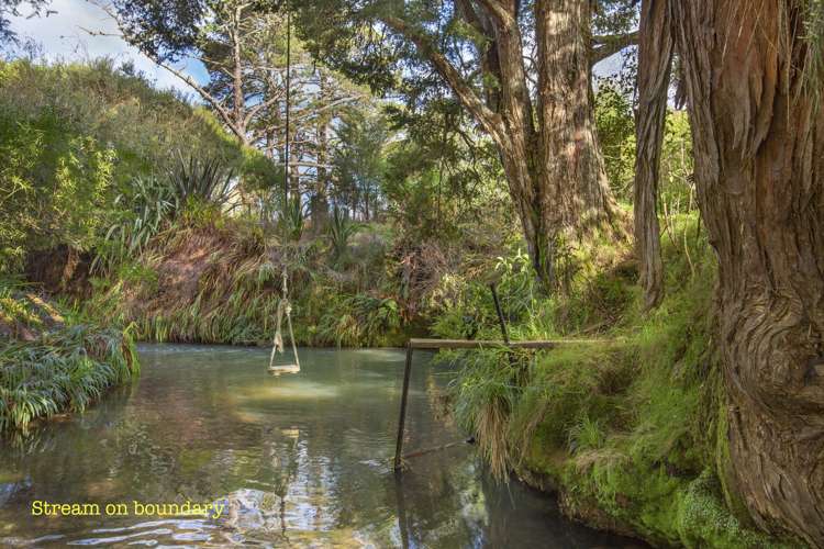 1068a Old Mountain Road Raglan_38