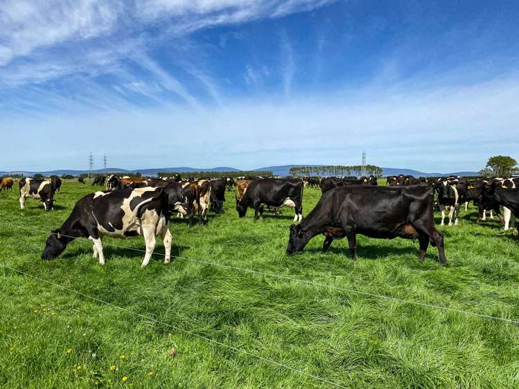 445 Aparima Road Otautau_15