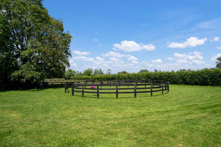 146 French Pass Road Cambridge_21