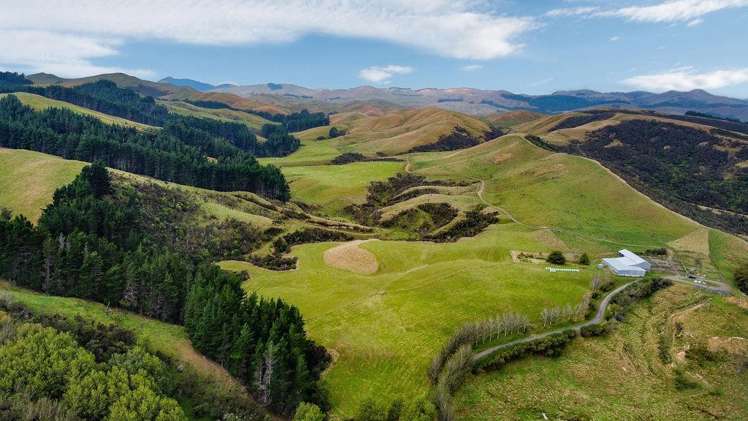 25 Mangamaire Road Dannevirke_22