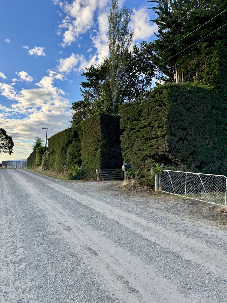 284 Estate Road Clinton and Surrounds_21