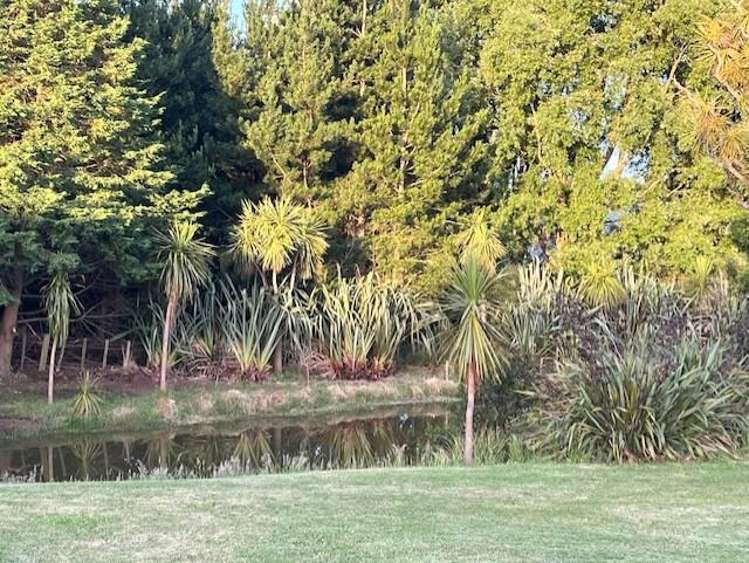 36B Palmer Road Foxton Beach_19