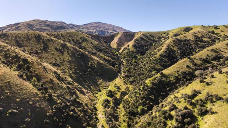 Spotsburn, Lot 2, 928 Cardrona Valley Road Cardrona_14