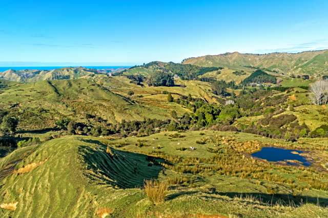 758 Glenroy Road Whangara_4