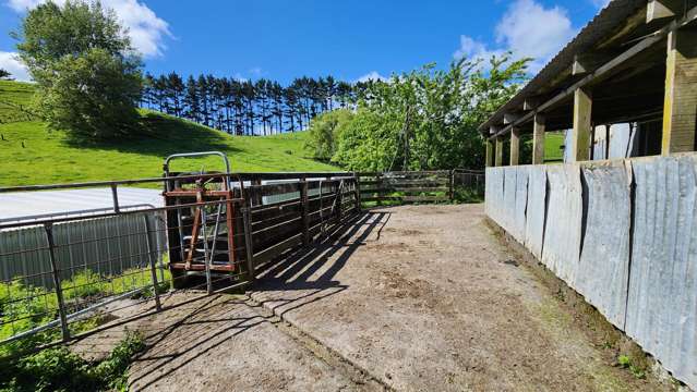 133 Kaimata Road Kaimata_3