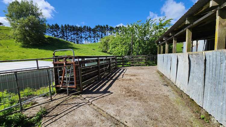 133 Kaimata Road Kaimata_3