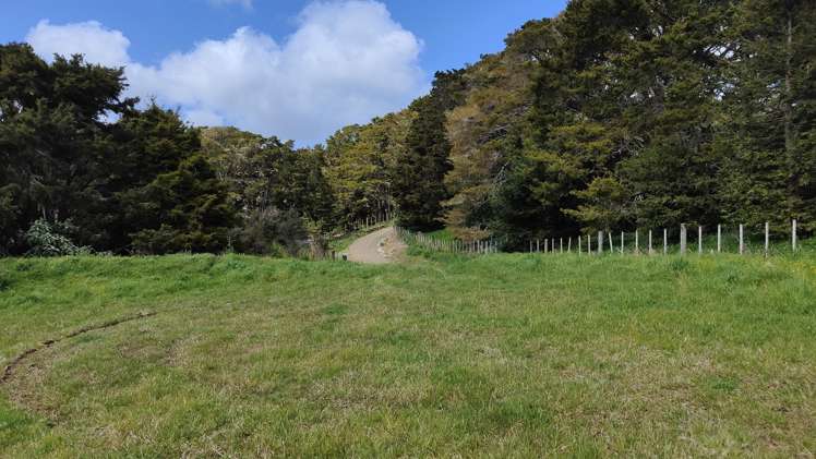 Lot 4, 581 Valley Road Kaiwaka_5