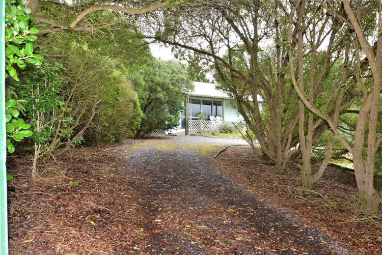 938 Harington Point Road Harington Point_15