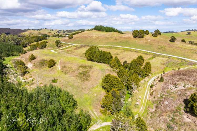 Whakapirau Road Maungaturoto_19