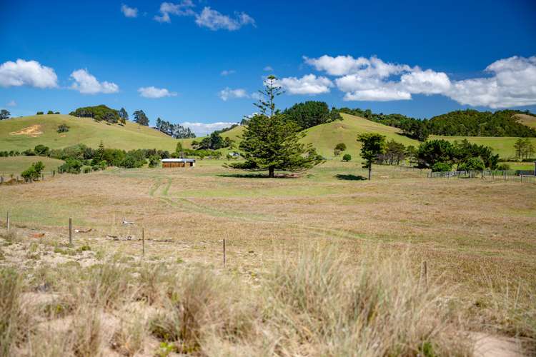 1905 Pataua North Road Pataua_4