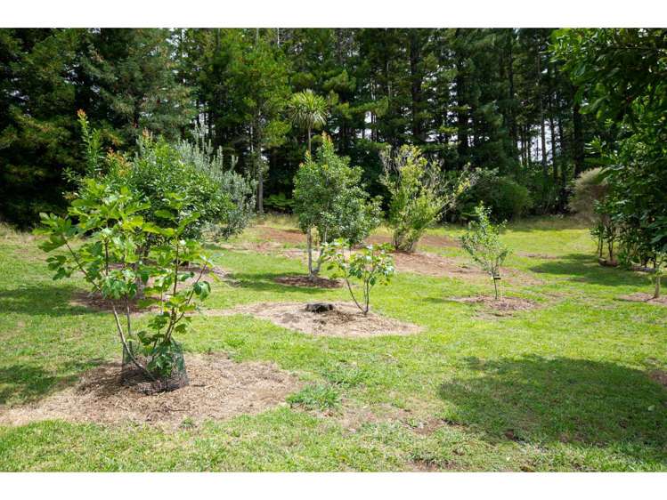 39b Shirley Road Kerikeri Surrounds_12