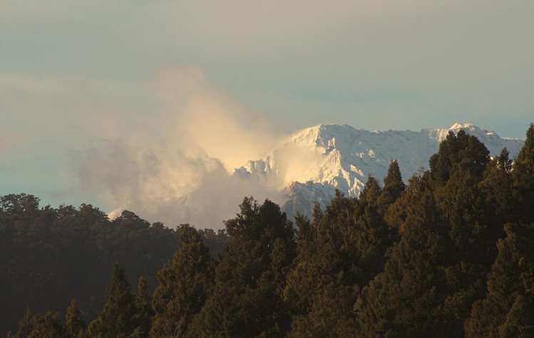 99 The Strand Okarito_29