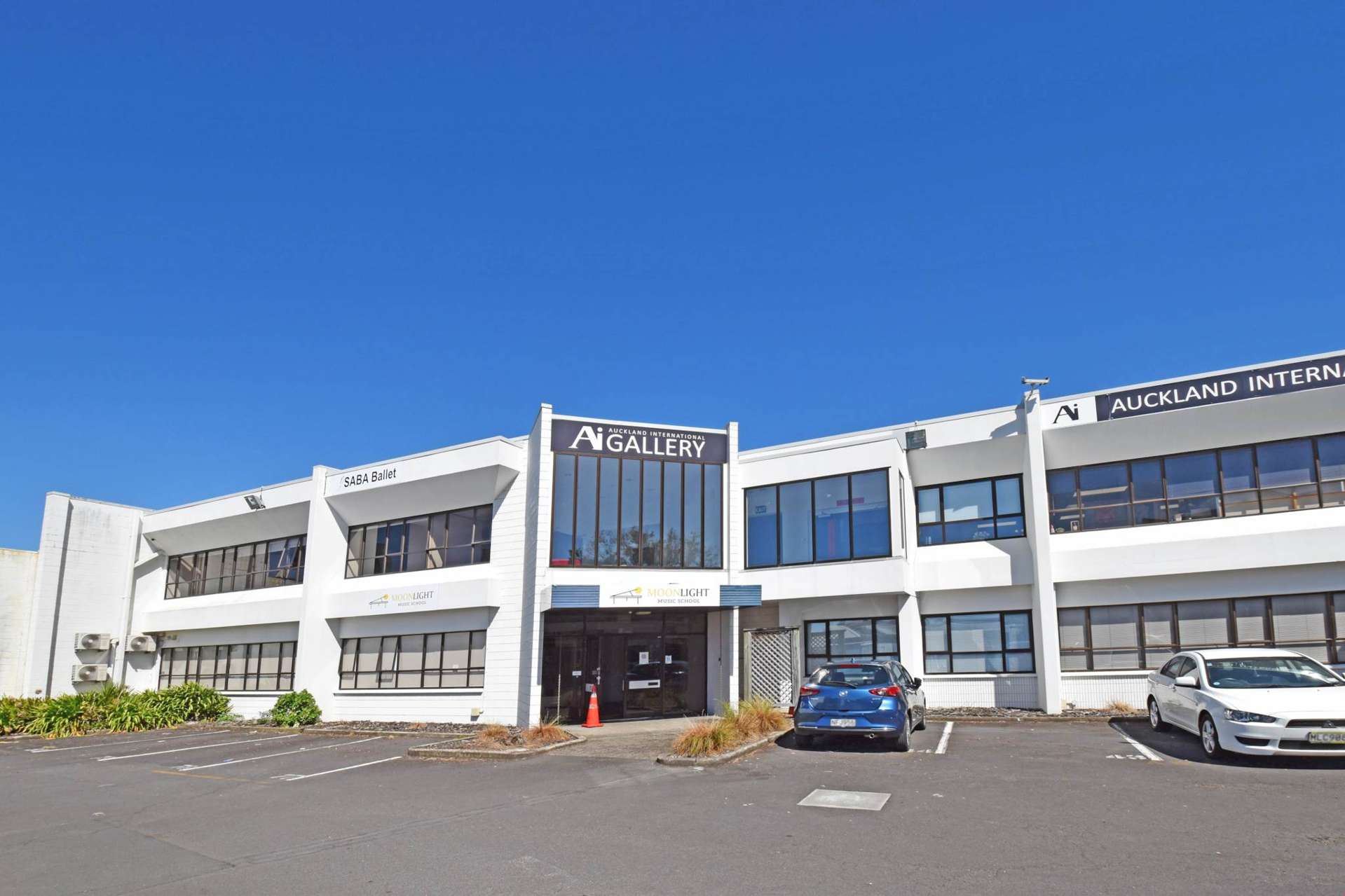 386 Manukau Road Epsom_0
