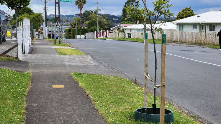 40a Milan Road Papatoetoe_9