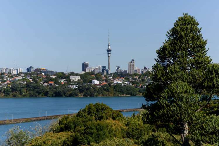 3/11 Awarua Crescent Orakei_35