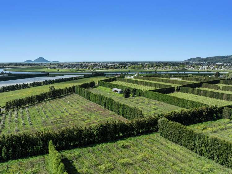 37 Selwyn Road Poroporo_3