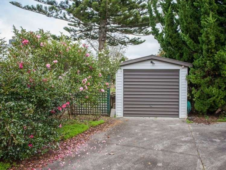 203 Fergusson Drive Thames_36