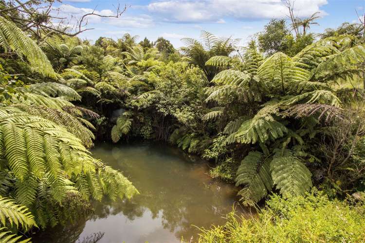 166b Heard Road Waihi_10