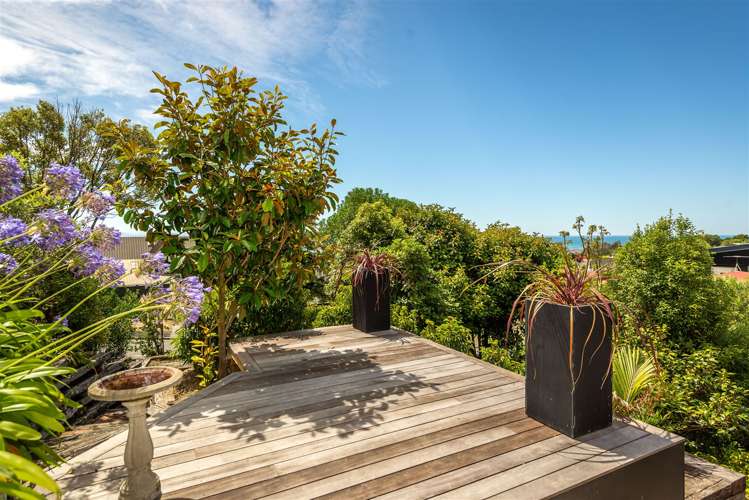 137 Soleares Avenue Mount Pleasant_19