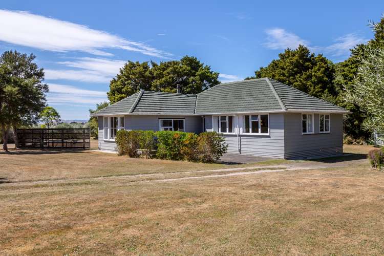 17 Tararua Drive Upper Plain_2