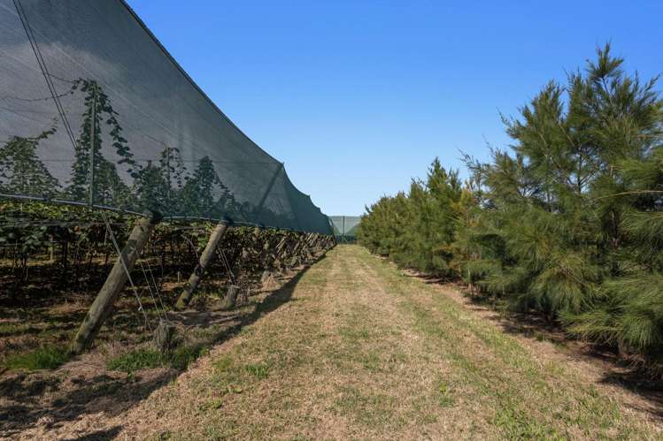 278 Paroa Road Whakatane Surrounds_4