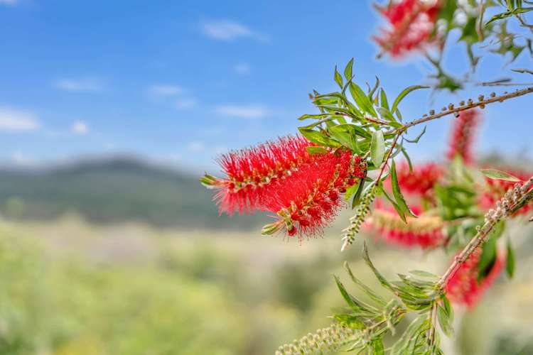 661 Waihue Road Dargaville_23