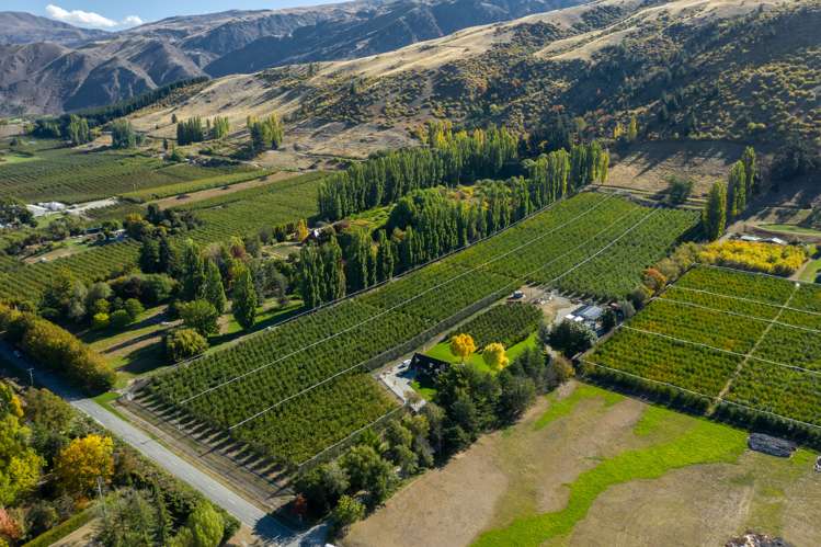 284 Ripponvale Road Cromwell_0