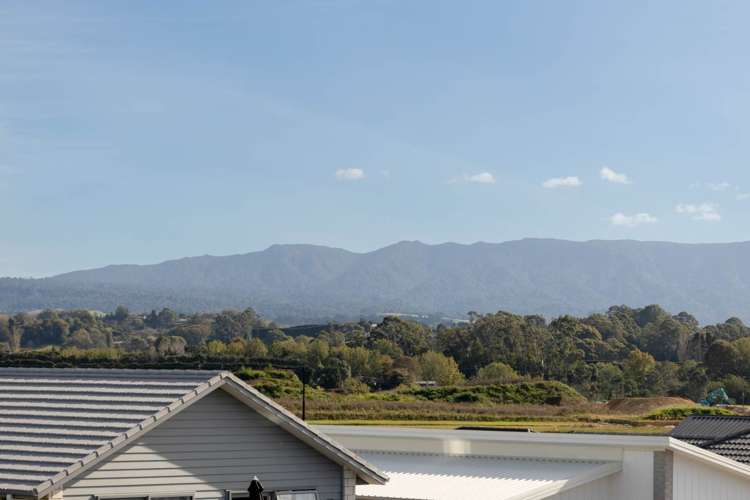 5 Te Ara Tanekaha Omokoroa_24