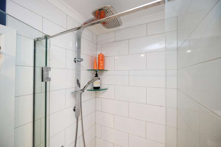 18 Dittmer Drive Awapuni_17