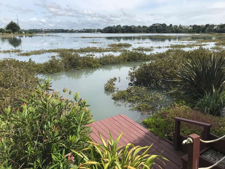 3 Lytton Street Devonport_16