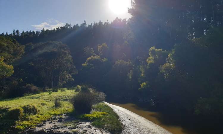Sterling Road Paparoa_14