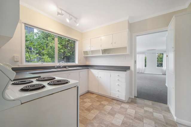 49A Kohimarama Road 1704_2