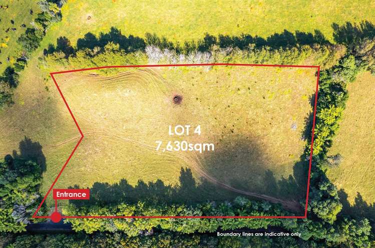 0n Umutekai Road Hillsborough_9