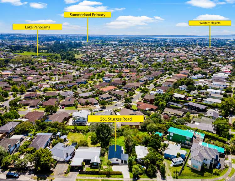 261 Sturges Road Henderson_19