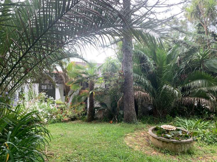 12 Cliff Road Torbay_9