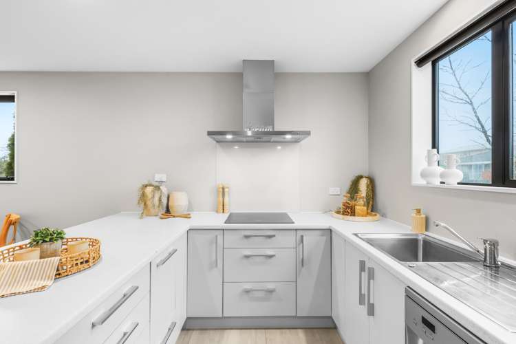 411d Armagh Street Linwood_2