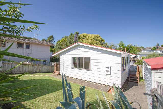 13a Locke Avenue Mount Roskill_2