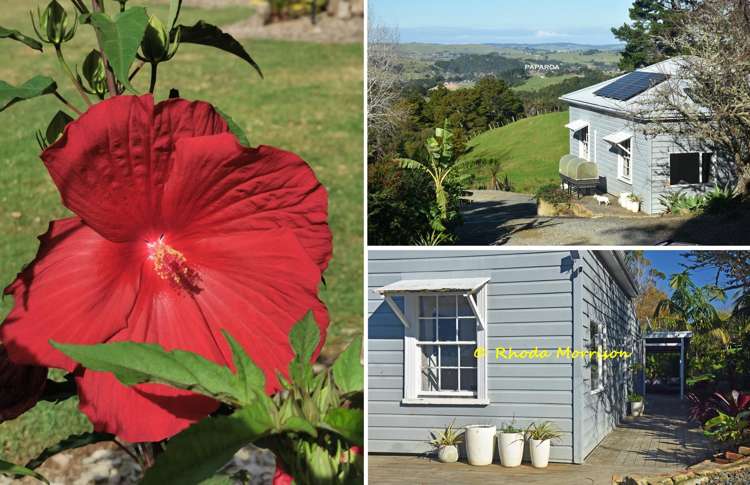 330 Franklin Road Paparoa_46