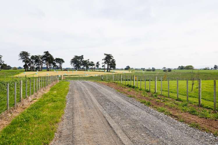 Sterling Lane Rongotea_6