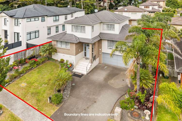 135 Jeffs Road Flat Bush_23