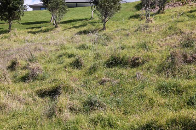 286b Cove Road Waipu_23