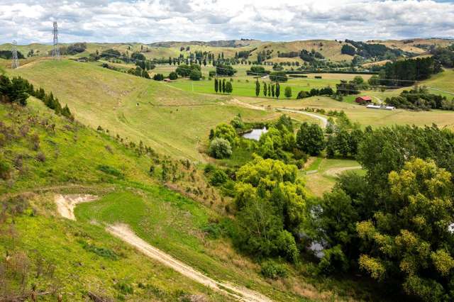 Lot Lot 2 Kopaki Bay Road Puketapu_1