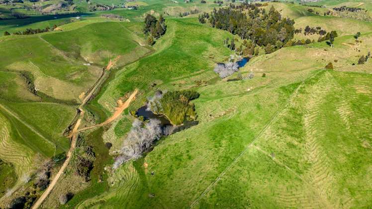 1026 Limeworks Loop Road Te Pahu_7