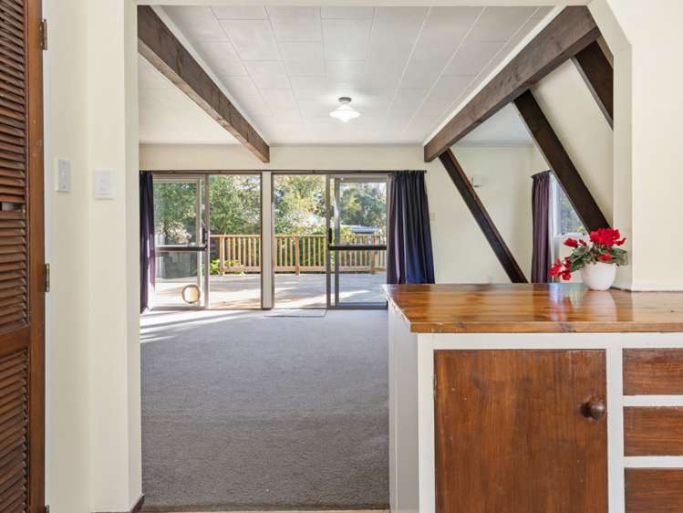 20 Brydon Street Renwick_0