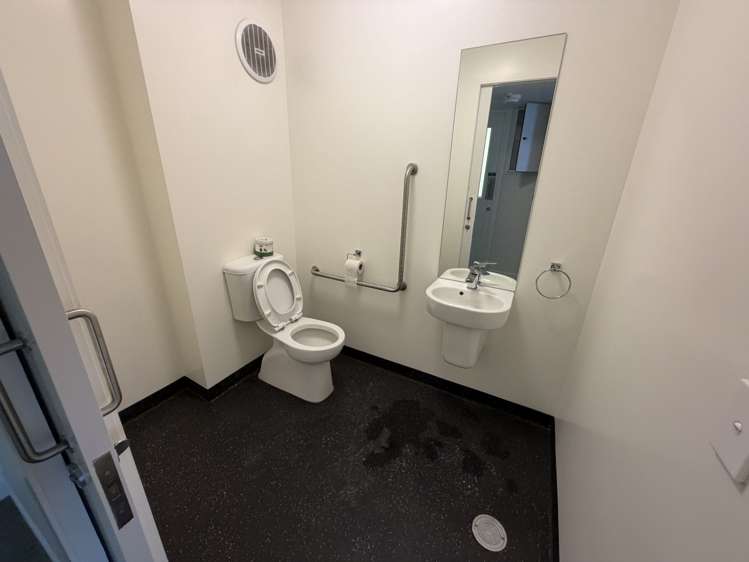 59 Mackelvie Street Ponsonby_5