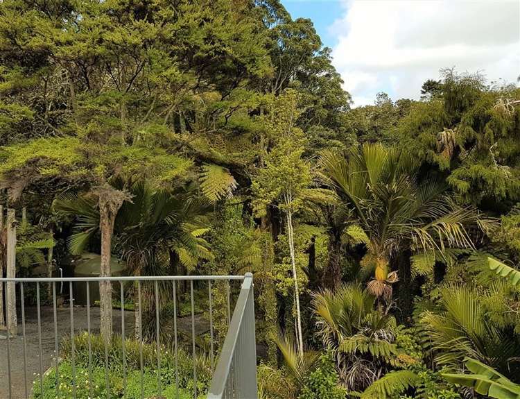 400 Ponga Road Opaheke_21