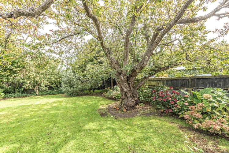 29 Grey Street College Estate_22